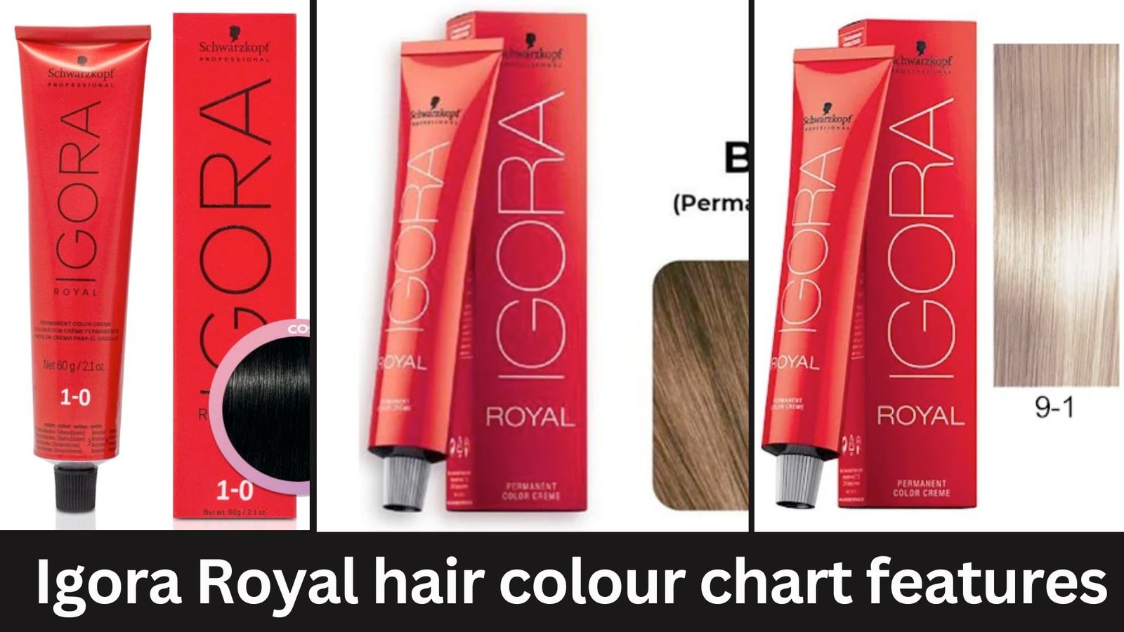 Igora Royal hair colour chart features